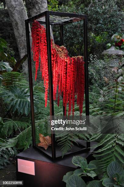 View of atmosphere at Shawn Mendes' special event in a private garden in Beverly Hills to celebrate his self titled album "Shawn Mendes"