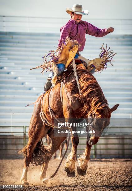 bucking bronco actie - cowboy stockfoto's en -beelden