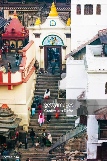 pashupatinath temple - pashupatinath stock pictures, royalty-free photos & images