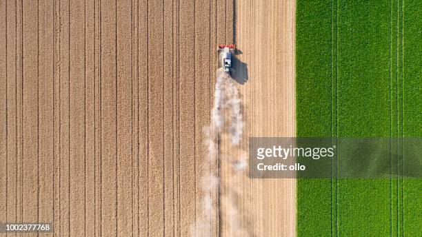 harvesting a wheat field, dust clouds - aerial view stock pictures, royalty-free photos & images
