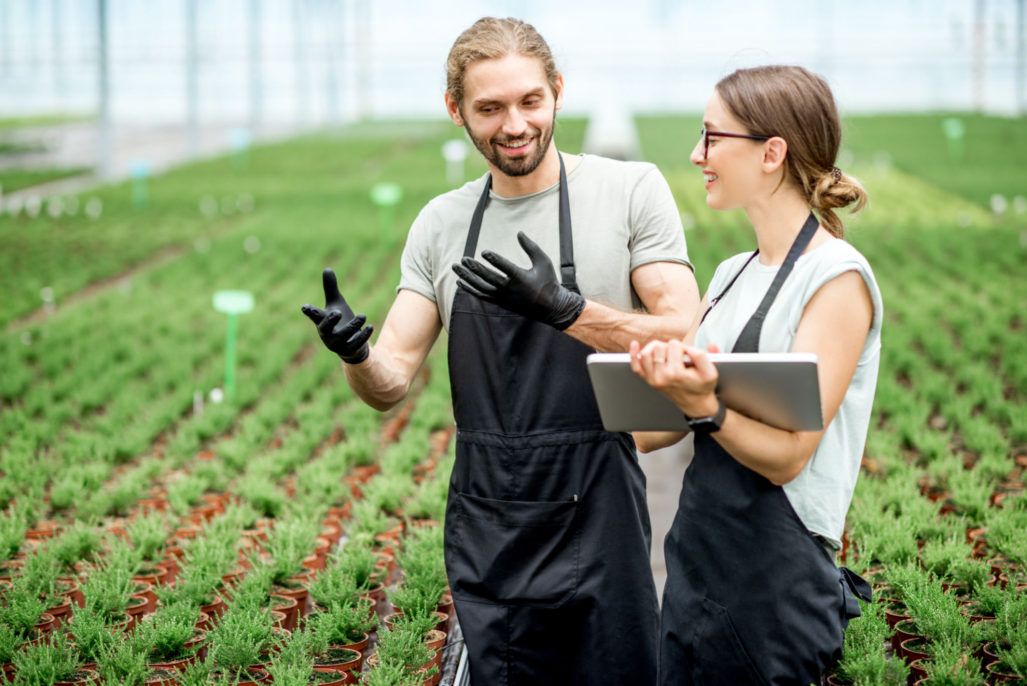 direct selling agriculture