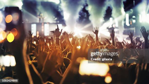 cheering crowd at a concert. - woman at festival stock pictures, royalty-free photos & images