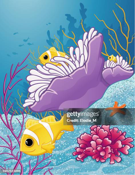 ilustrações de stock, clip art, desenhos animados e ícones de orange-fine clownfish/ two-band clown fish - galhinhos
