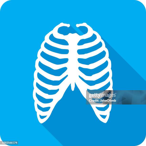 stockillustraties, clipart, cartoons en iconen met rib cage® pictogram silhouet 1 - rib cage anatomy