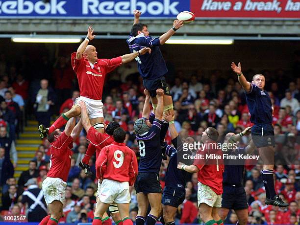 Scott Murray of Scotland wins the lineout ball during the Lloyds TSB Six Nations Championship match between Wales and Scotland at the Millennium...