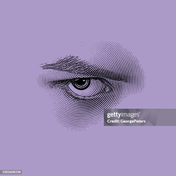 stockillustraties, clipart, cartoons en iconen met boze oog - close up face