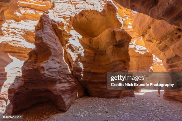 red canyon, eilat, israel - red canyon bildbanksfoton och bilder