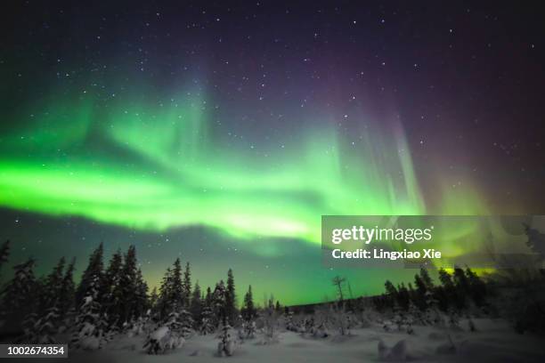 northern lights, also known as aurora borealis in lapland, finland - rovaniemi fotografías e imágenes de stock