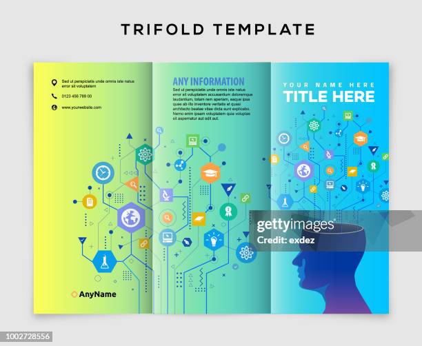 ilustrações de stock, clip art, desenhos animados e ícones de education idea trifold design - tríptico