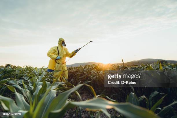 plantation spraying - ogm imagens e fotografias de stock