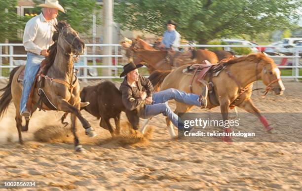 wild bull riding competition at  rodeo paddock arena at spanish fork of salt lake city slc utah usa - wrestling arena stock pictures, royalty-free photos & images