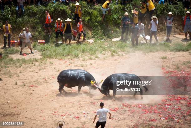 Villagers gather together to watch bullfighting on the sixth day of the sixth lunar month at Congjiang County on July 18, 2018 in Qiandongnan Miao...