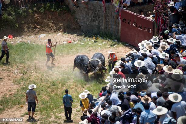 Villagers gather together to watch bullfighting on the sixth day of the sixth lunar month at Congjiang County on July 18, 2018 in Qiandongnan Miao...