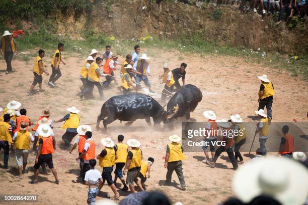 Villagers gather together to watch bullfighting on the sixth day of the sixth lunar month at Congjiang County on July 18, 2018 in Qiandongnan Miao...