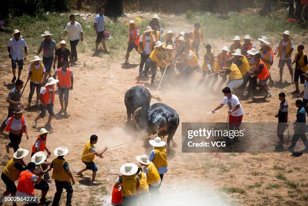 Villagers gather together to watch bullfighting on the sixth day of the sixth lunar month at Congjiang County on July 18, 2018 in Qiandongnan Miao...