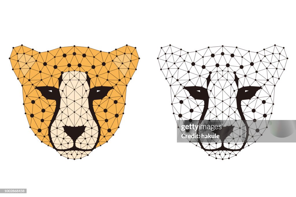 Cheetah Cartoon Face Flat Animal Face Icon Vector High-Res Vector Graphic -  Getty Images