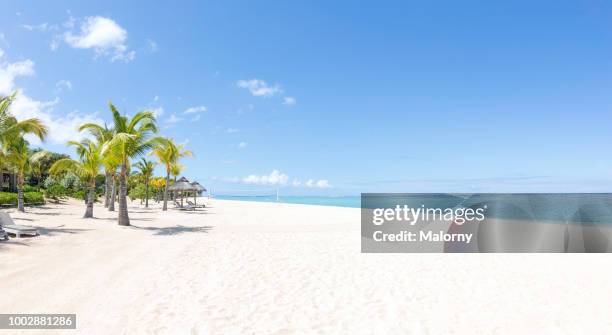 view over white sand beach with palm trees, clear turquoise sea in the background. - mauritius stockfoto's en -beelden