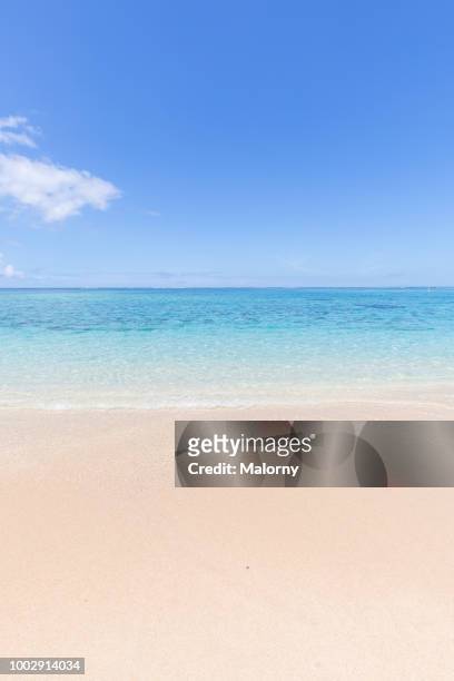 view over white sand beach with clear turquoise sea in the background. le morne, rivière noire, mauritius. - le sommer stock pictures, royalty-free photos & images
