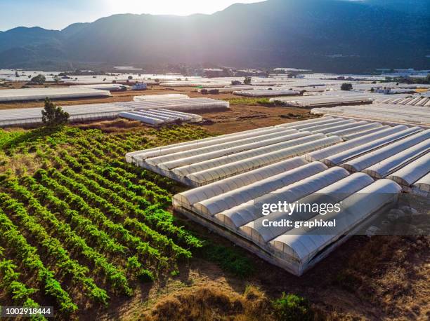 aerial view of greenhouse - greenhouse imagens e fotografias de stock