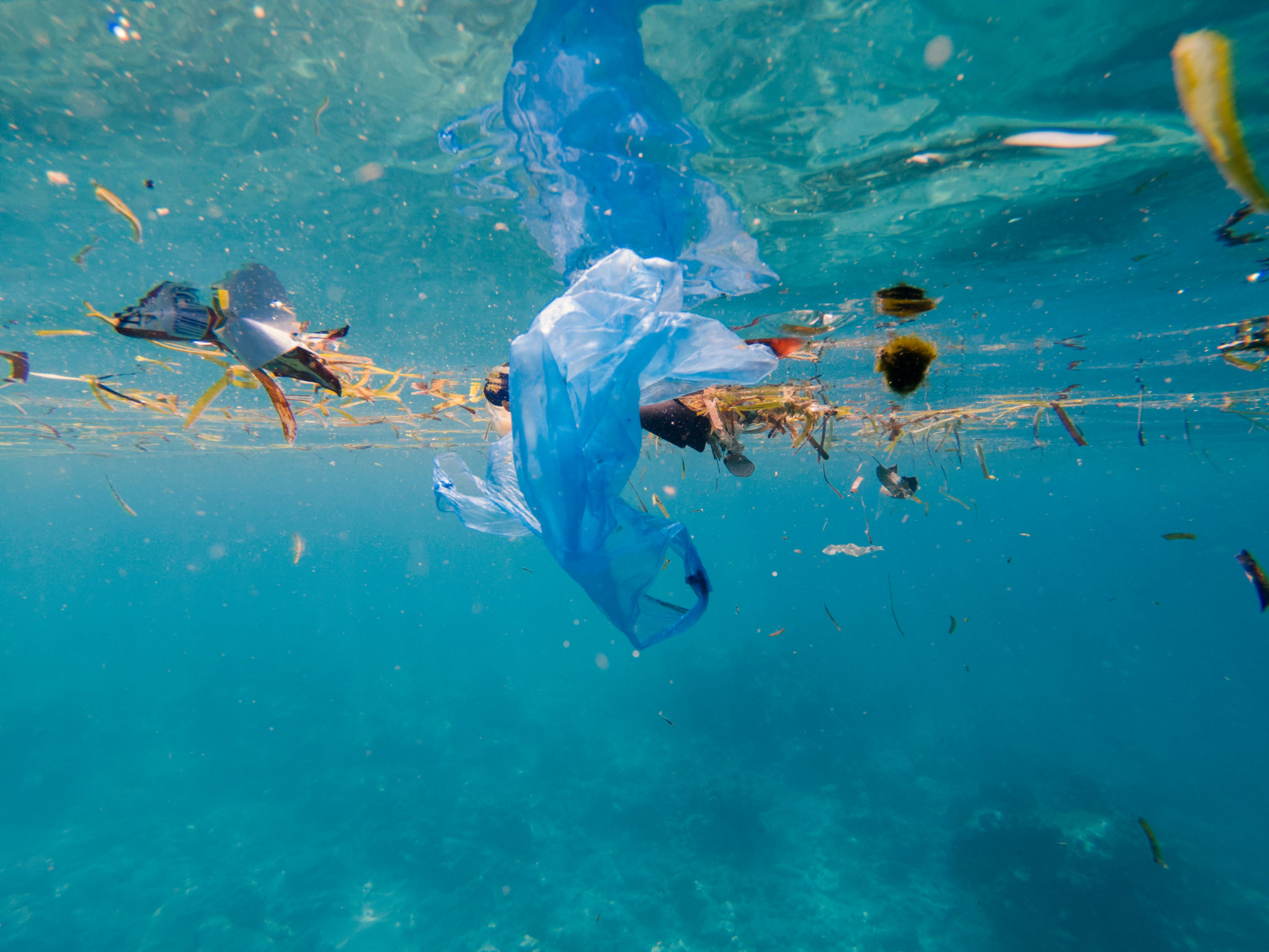 Plastic pollution on marine environment Plastic pollution on marine environment