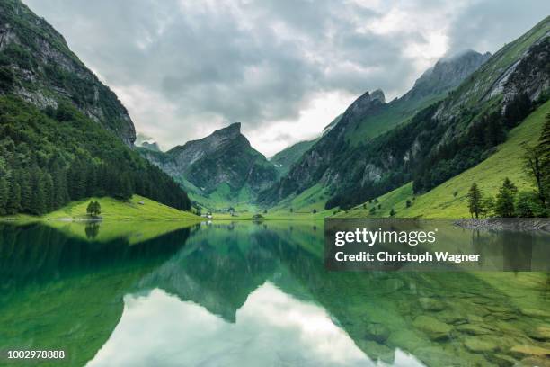 schweiz- seealpsee - zwitserland fotografías e imágenes de stock