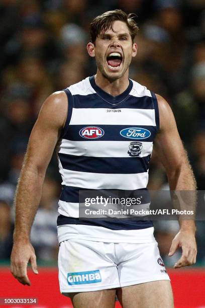 Tom Hawkins of the Cats celebrates a goal during the round 18 AFL match between the Geelong Cats and the Melbourne Demons at GMHBA Stadium on July...