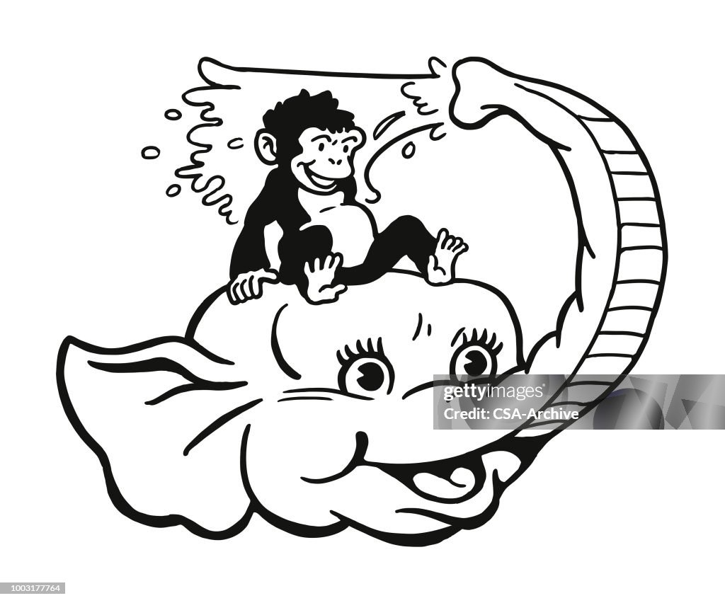 Monkey on an Elephant
