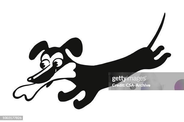 dog running with a bone - dachshund stock illustrations