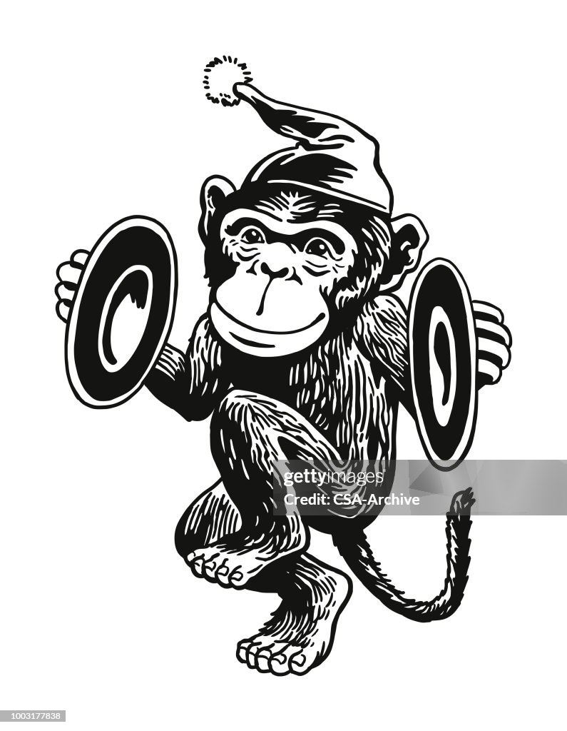 Monkey Playing Cymbals