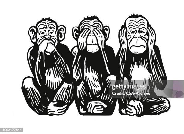 three monkeys - hear no evil stock illustrations
