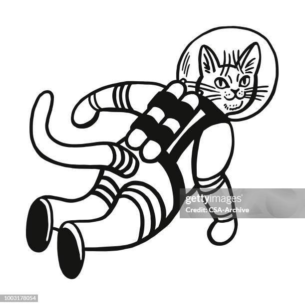 ilustrações de stock, clip art, desenhos animados e ícones de astronaut cat - roupa de astronauta