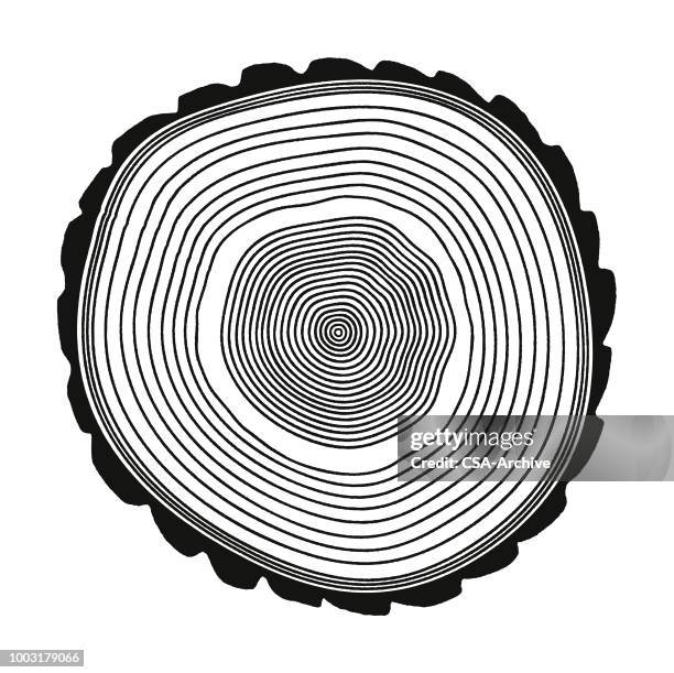 157点の木の切り株イラスト素材 Getty Images 157点の木の切り株イラスト素材 Getty Images
