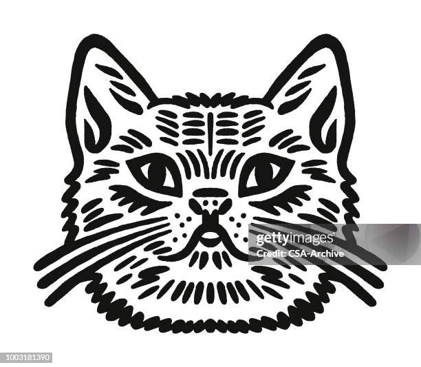 katze - hauskatze stock-grafiken, -clipart, -cartoons und -symbole