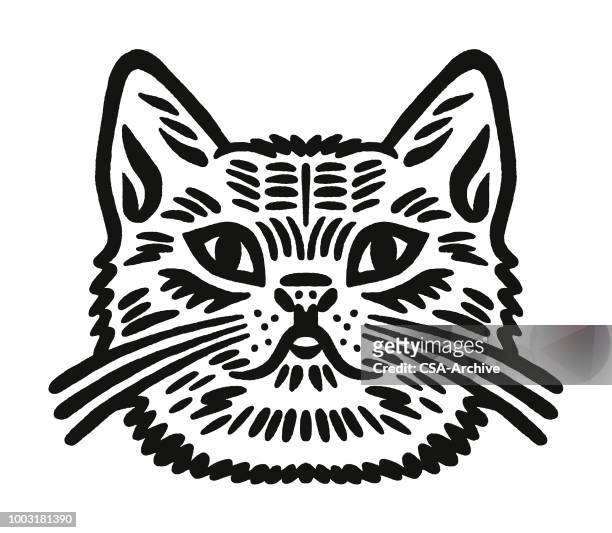 cat - animal head stock illustrations