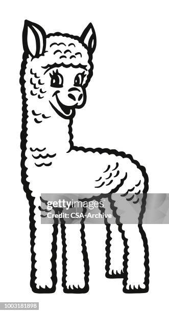 smiling alpaca - alpaca stock illustrations