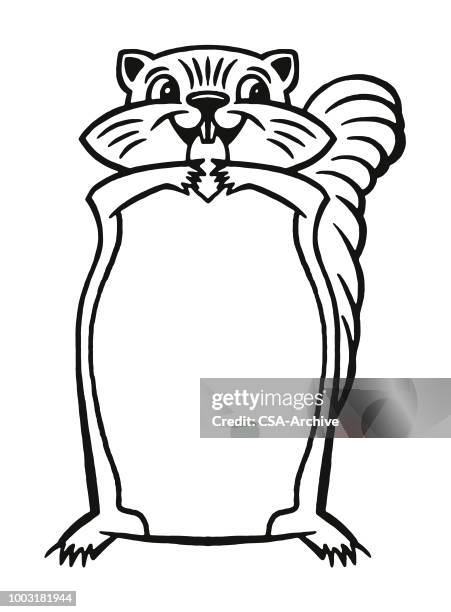 chipmunk - chipmunk stock illustrations