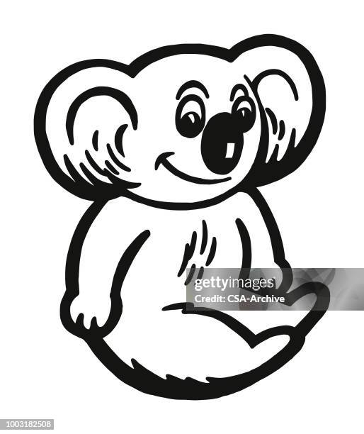 koala bear - koala stock illustrations