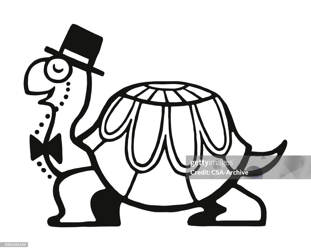 Turtle