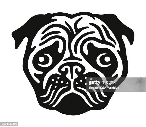 pug face - pug portrait stock illustrations