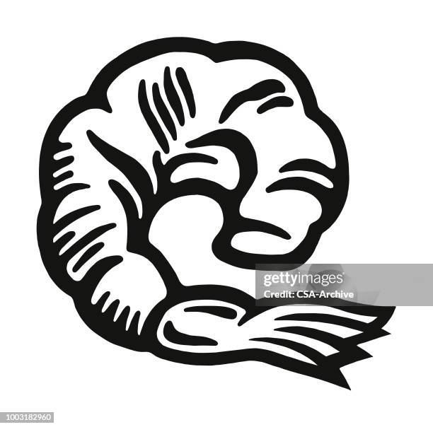 shrimp - shrimp stock illustrations