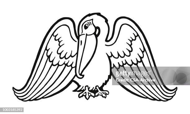 ilustrações de stock, clip art, desenhos animados e ícones de pelican - pelicano