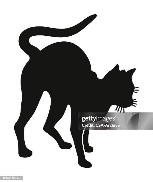 cat - cat tail stock illustrations