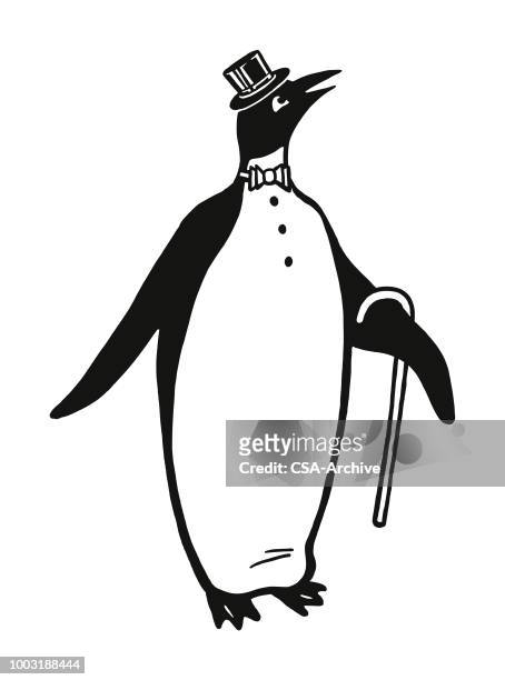 penguin - top hat stock illustrations