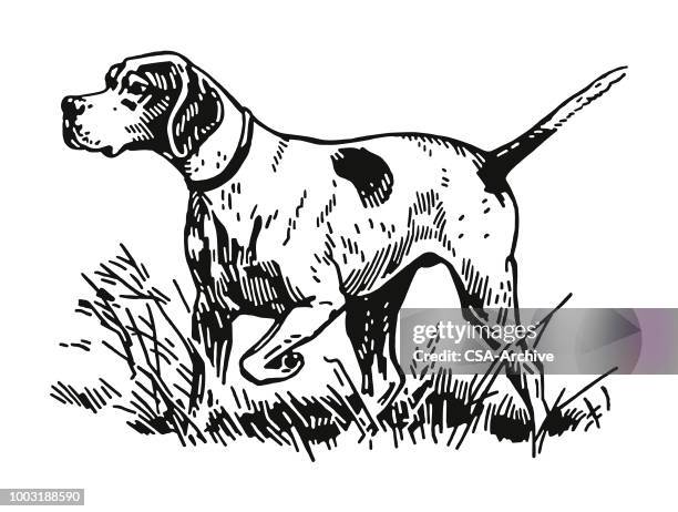 hunting dog - black and white dog stock illustrations