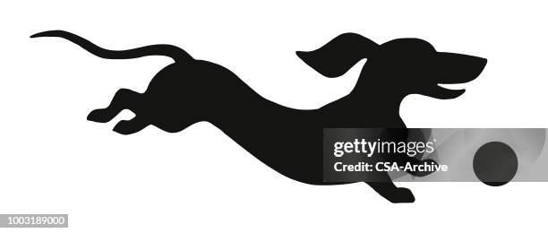 453点のダックスフントイラスト素材 Getty Images 453点のダックスフントイラスト素材 Getty Images