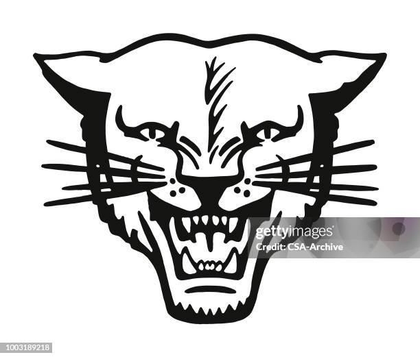 stockillustraties, clipart, cartoons en iconen met wildcat - snorhaar