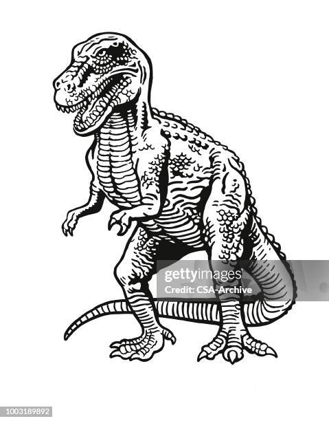 dinosaur - t-rex stock illustrations
