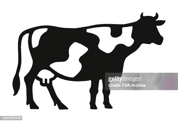 kuh - cattle stock-grafiken, -clipart, -cartoons und -symbole