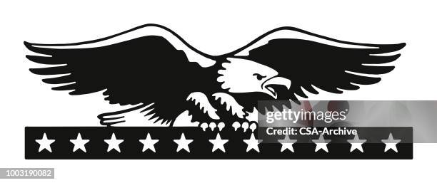 weißkopfseeadler eagle - bald eagle stock-grafiken, -clipart, -cartoons und -symbole