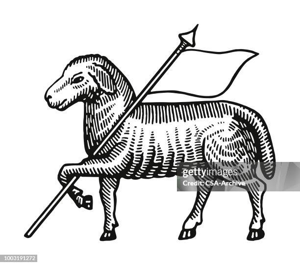 stockillustraties, clipart, cartoons en iconen met schapen - lammetje